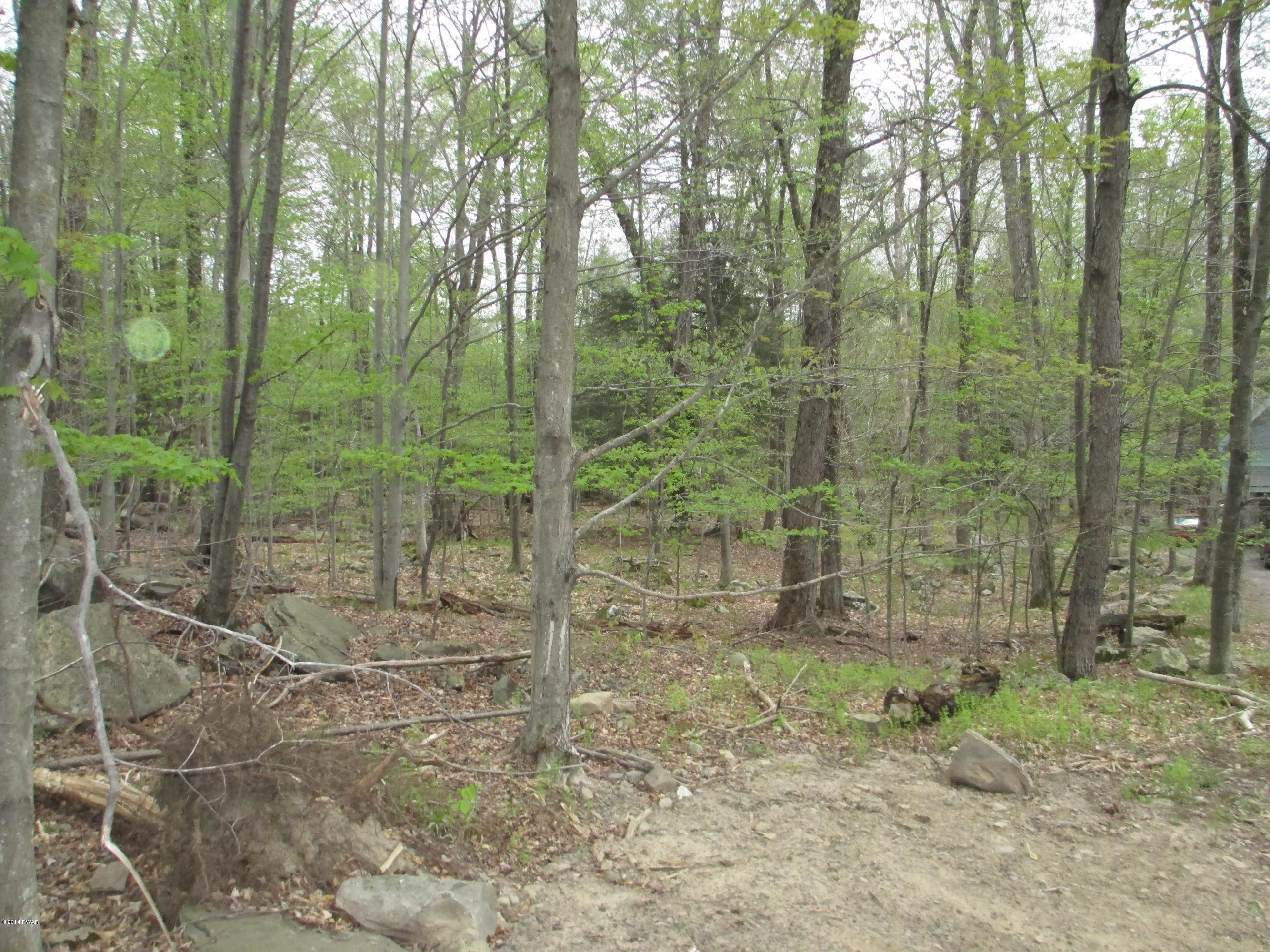 3868 Applegate Road Lake Ariel, PA 18436 - Photo 8 of 14