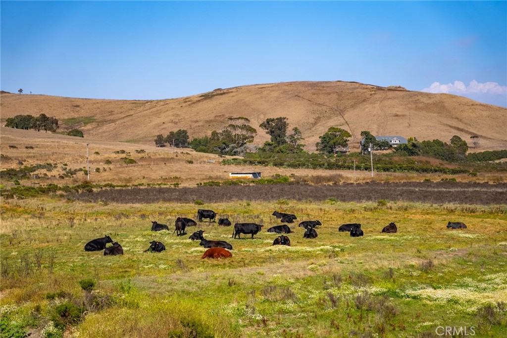 5010 Cabrillo Cayucos, CA 93430 - Photo 33 of 63