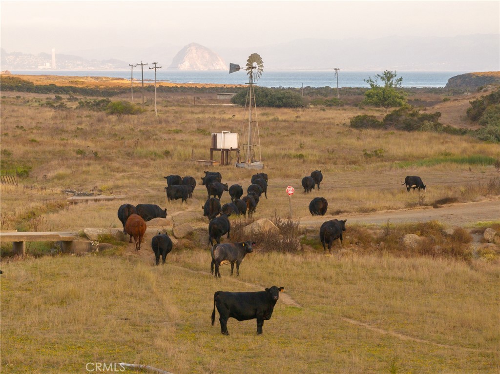 5010 Cabrillo Cayucos, CA 93430 - Photo 39 of 63