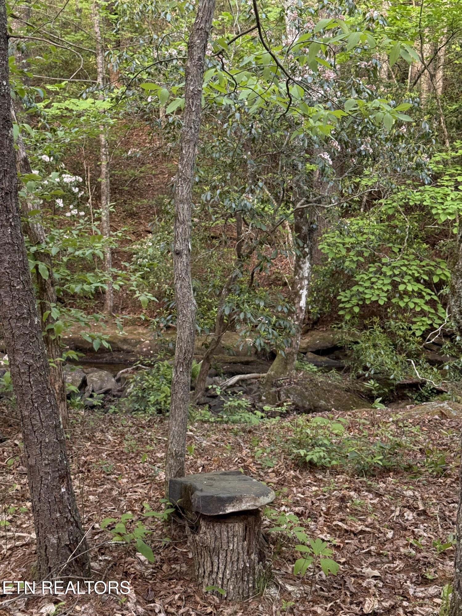 0 Genesis Road Crossville, TN 38555 - Photo 9 of 15