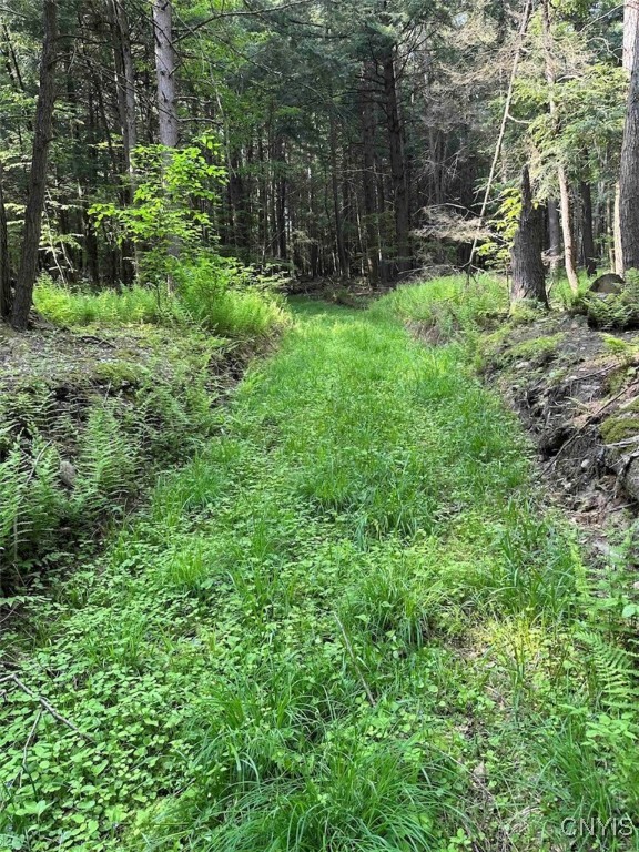 360 Ives Hill Road Afton, NY 13813 - Photo 11 of 50