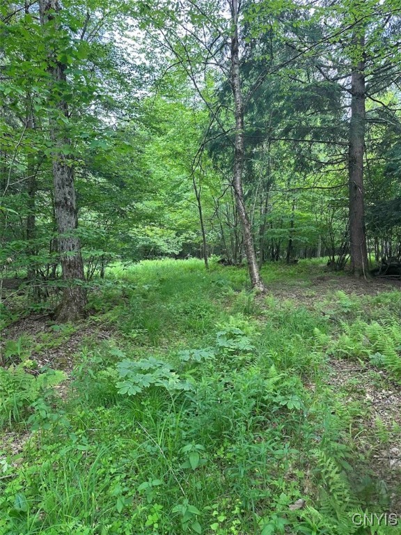 360 Ives Hill Road Afton, NY 13813 - Photo 15 of 50