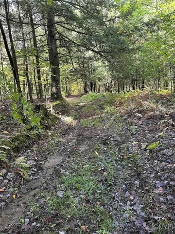 $228,900 | 360 Ives Hill Road, Afton, NY 13813