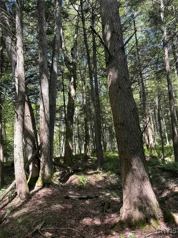 $228,900 | 360 Ives Hill Road, Afton, NY 13813