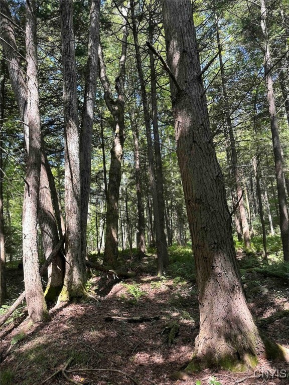 360 Ives Hill Road Afton, NY 13813 - Photo 17 of 50