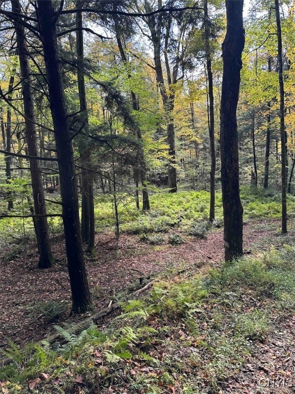 360 Ives Hill Road Afton, NY 13813 - Photo 18 of 50