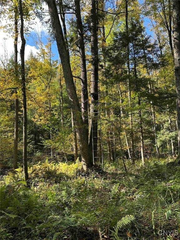 360 Ives Hill Road Afton, NY 13813 - Photo 19 of 50