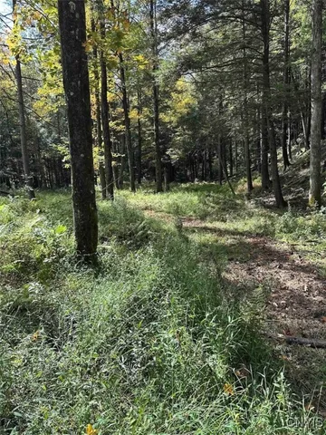 $228,900 | 360 Ives Hill Road, Afton, NY 13813