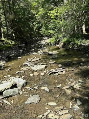 $228,900 | 360 Ives Hill Road, Afton, NY 13813