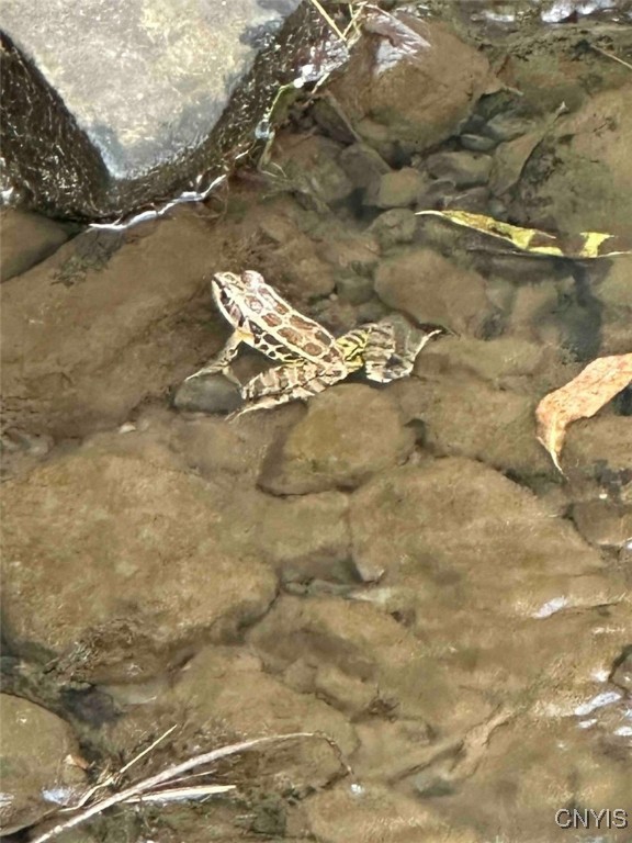 360 Ives Hill Road Afton, NY 13813 - Photo 22 of 50