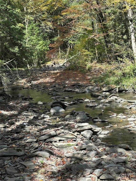 360 Ives Hill Road Afton, NY 13813 - Photo 23 of 50