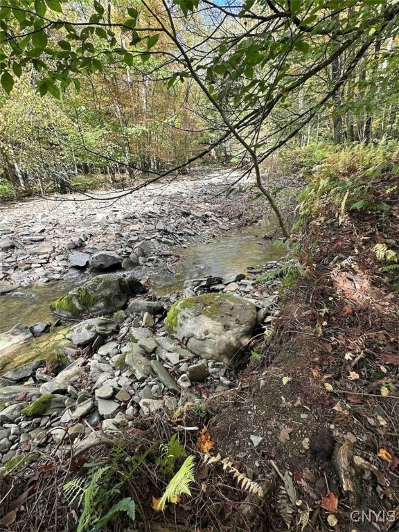 360 Ives Hill Road Afton, NY 13813 - Photo 24 of 50