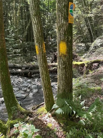 $228,900 | 360 Ives Hill Road, Afton, NY 13813