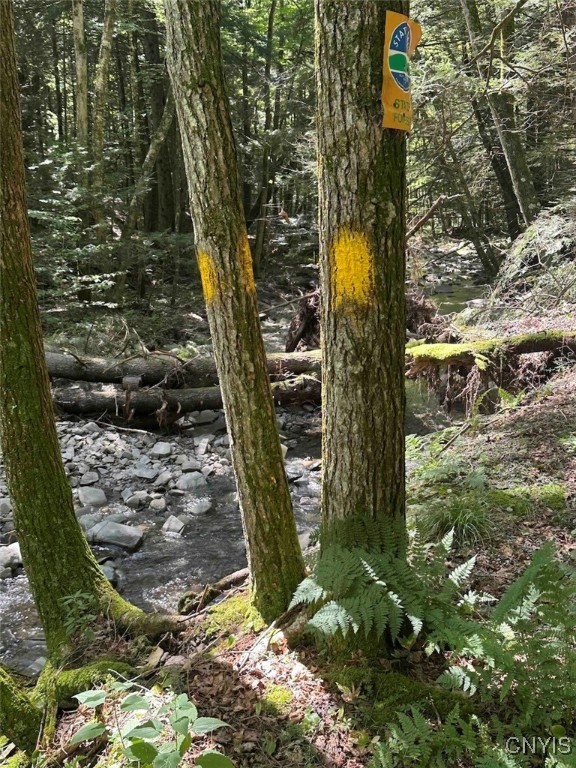 360 Ives Hill Road Afton, NY 13813 - Photo 26 of 50