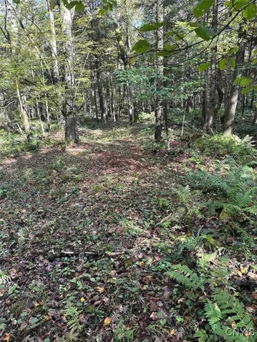 $228,900 | 360 Ives Hill Road, Afton, NY 13813