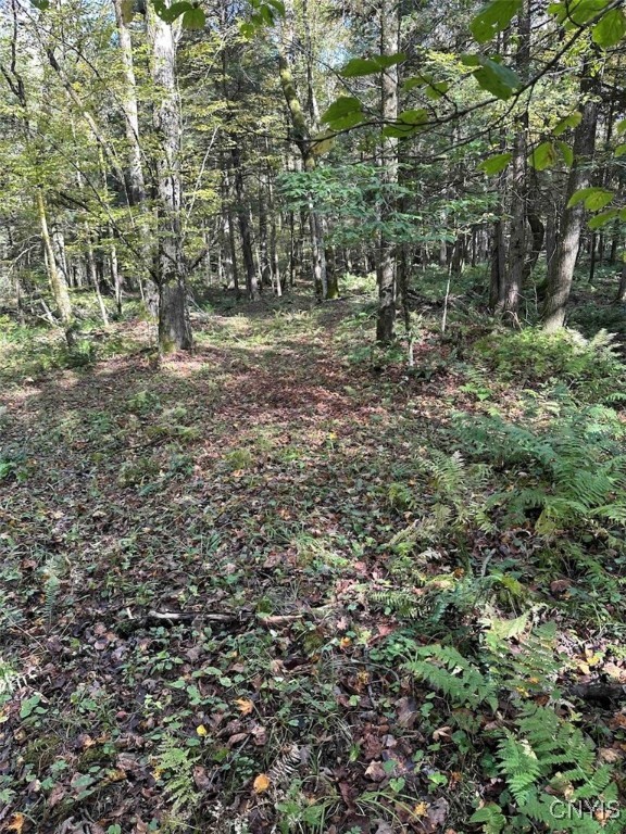 360 Ives Hill Road Afton, NY 13813 - Photo 27 of 50