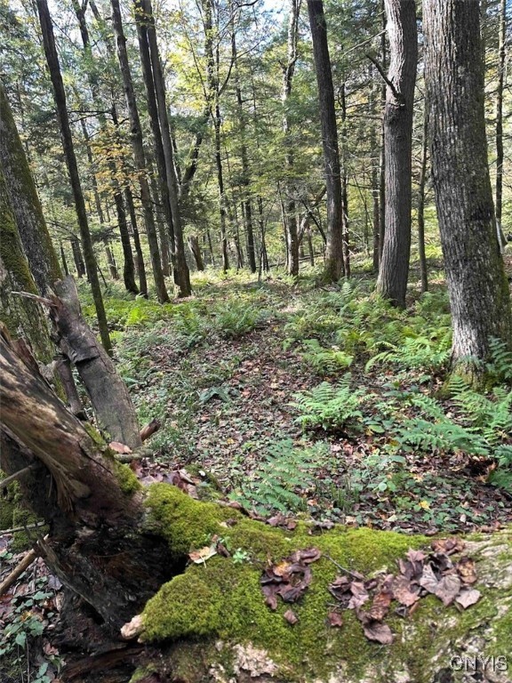 360 Ives Hill Road Afton, NY 13813 - Photo 28 of 50