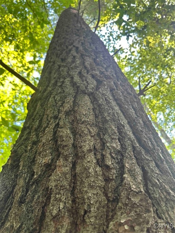 360 Ives Hill Road Afton, NY 13813 - Photo 30 of 50