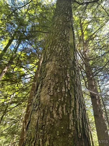 $228,900 | 360 Ives Hill Road, Afton, NY 13813