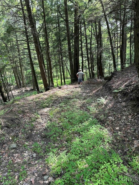 360 Ives Hill Road Afton, NY 13813 - Photo 32 of 50