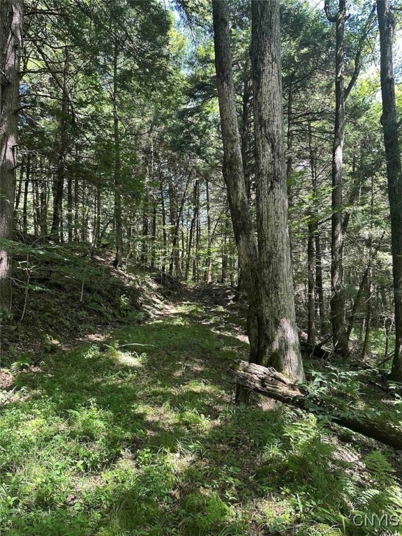 360 Ives Hill Road Afton, NY 13813 - Photo 33 of 50