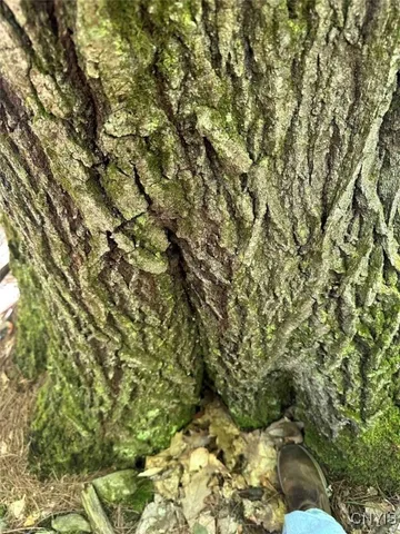 $228,900 | 360 Ives Hill Road, Afton, NY 13813