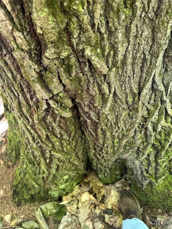 360 Ives Hill Road Afton, NY 13813 - Photo 34 of 50