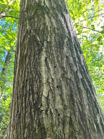 $228,900 | 360 Ives Hill Road, Afton, NY 13813