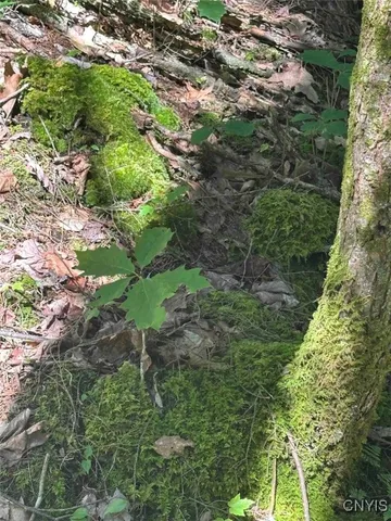 $228,900 | 360 Ives Hill Road, Afton, NY 13813