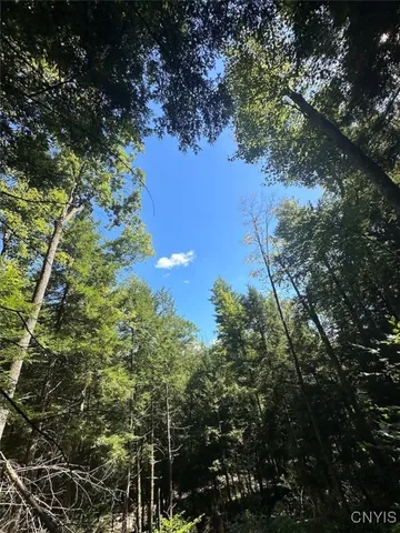 $228,900 | 360 Ives Hill Road, Afton, NY 13813