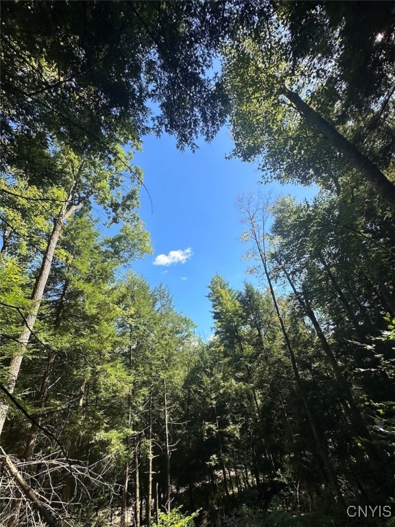 360 Ives Hill Road Afton, NY 13813 - Photo 37 of 50