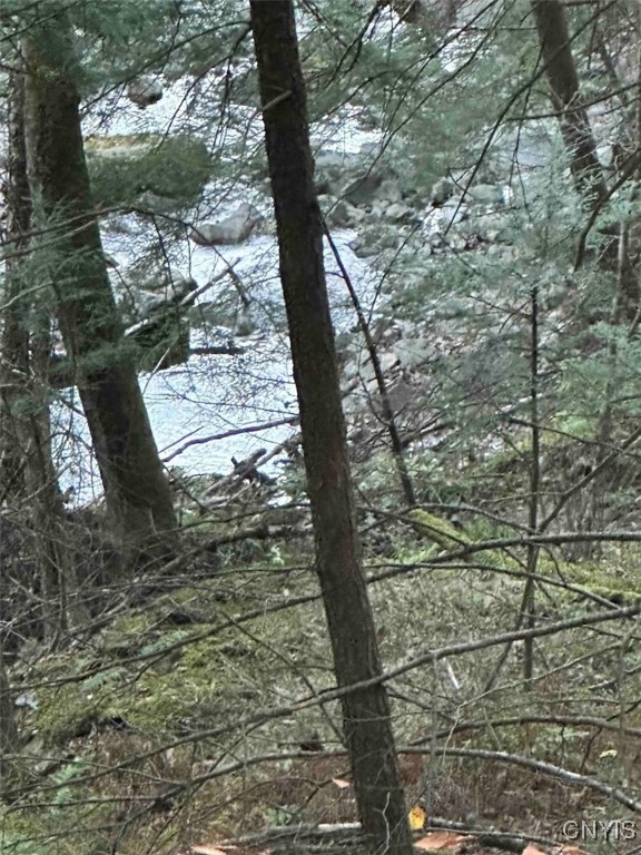 360 Ives Hill Road Afton, NY 13813 - Photo 38 of 50