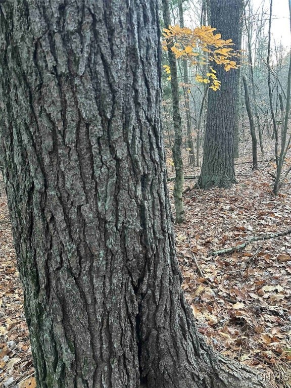 360 Ives Hill Road Afton, NY 13813 - Photo 39 of 50