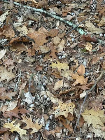 $228,900 | 360 Ives Hill Road, Afton, NY 13813