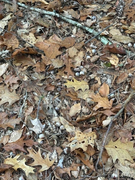 360 Ives Hill Road Afton, NY 13813 - Photo 40 of 50