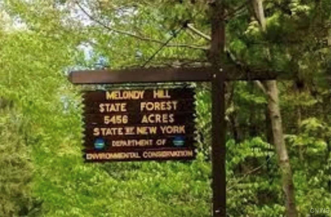 360 Ives Hill Road Afton, NY 13813 - Photo 4 of 50