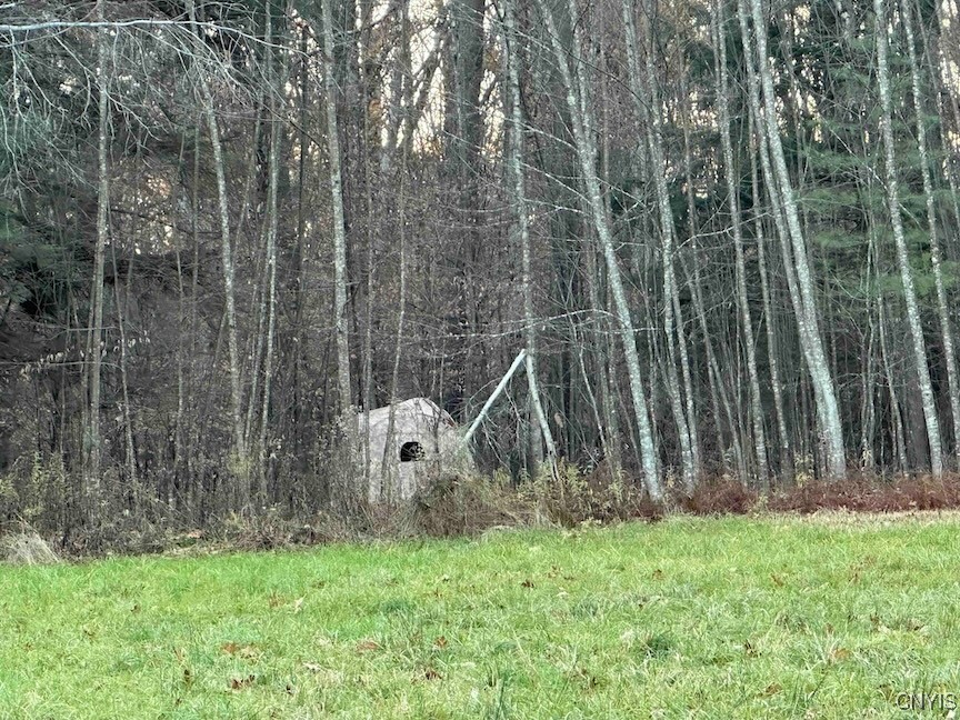 360 Ives Hill Road Afton, NY 13813 - Photo 44 of 50