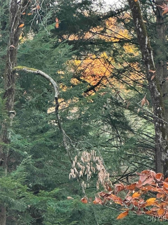 360 Ives Hill Road Afton, NY 13813 - Photo 45 of 50