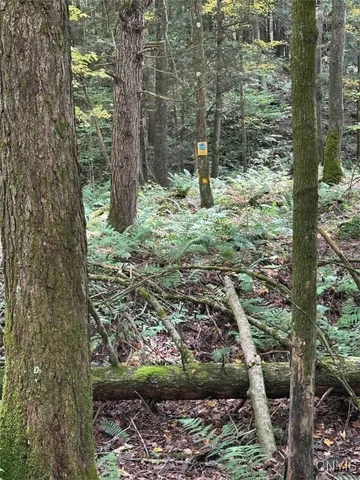 $228,900 | 360 Ives Hill Road, Afton, NY 13813