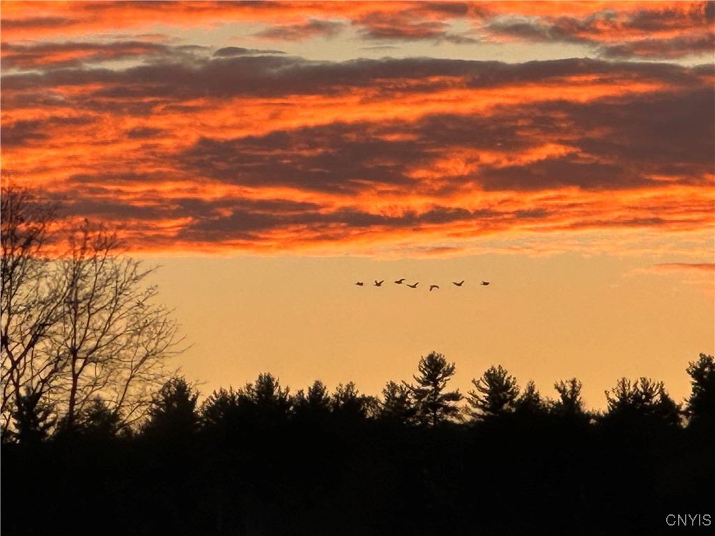 360 Ives Hill Road Afton, NY 13813 - Photo 47 of 50