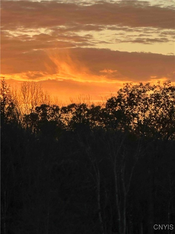 360 Ives Hill Road Afton, NY 13813 - Photo 48 of 50