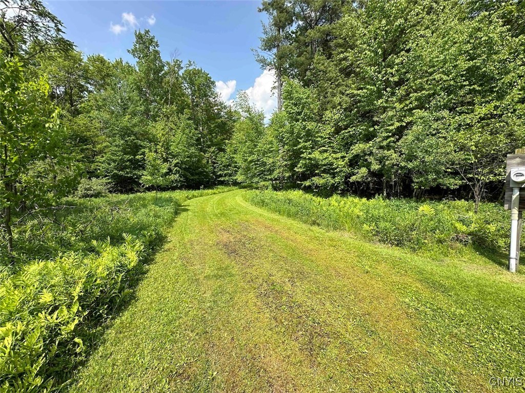 360 Ives Hill Road Afton, NY 13813 - Photo 5 of 50