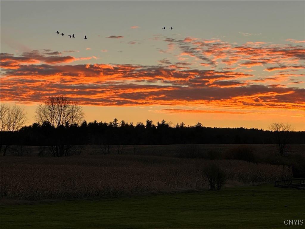 360 Ives Hill Road Afton, NY 13813 - Photo 10 of 50