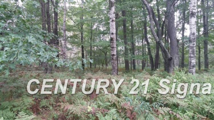 West Huron Road Au Gres, MI 48703 - Photo 17 of 21