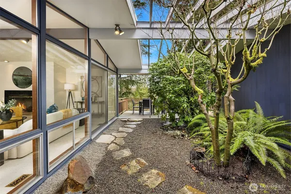 a view of a pathway with a tree