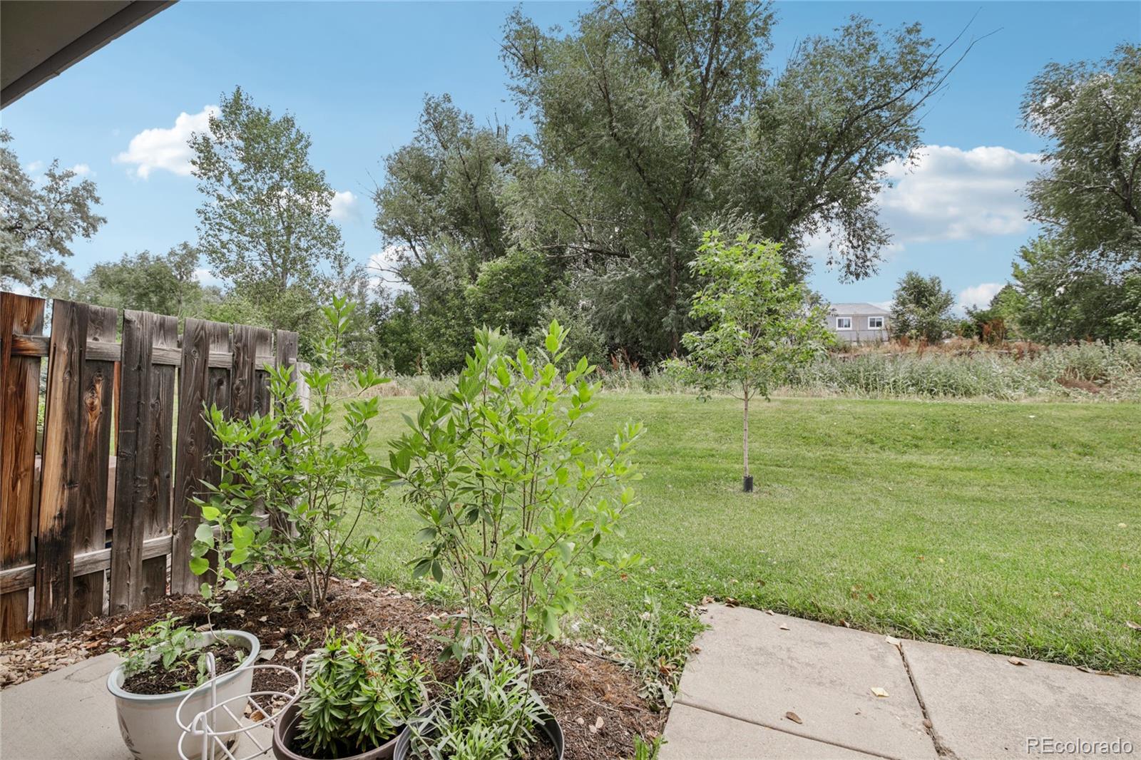 1169 Monroe Drive, Unit B Boulder, CO 80303 - Photo 28 of 32 a view of a garden with an empty room
