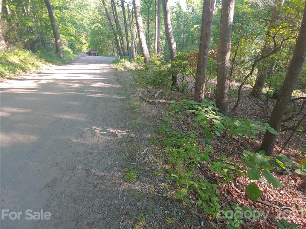Tbd Big Ivy Road, Unit 4 Purlear, NC 28665 - Photo 2 of 8 Gallery Image 2