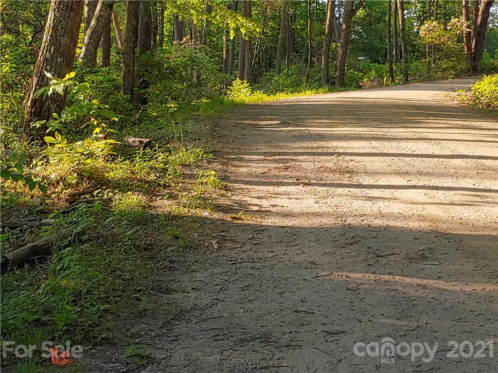 Tbd Big Ivy Road, Unit 4 Purlear, NC 28665 - Photo 6 of 8 Gallery Image 6