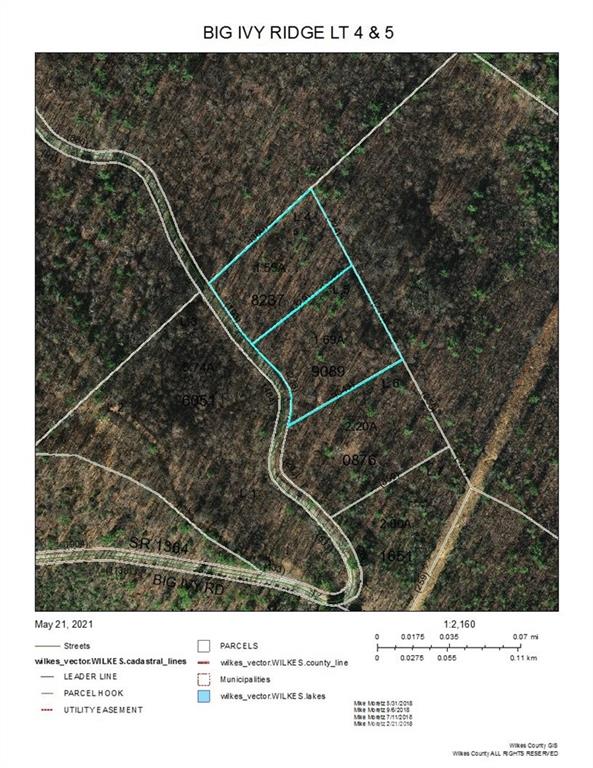 Tbd Big Ivy Road, Unit 4 Purlear, NC 28665 - Photo 8 of 8 Gallery Image 8