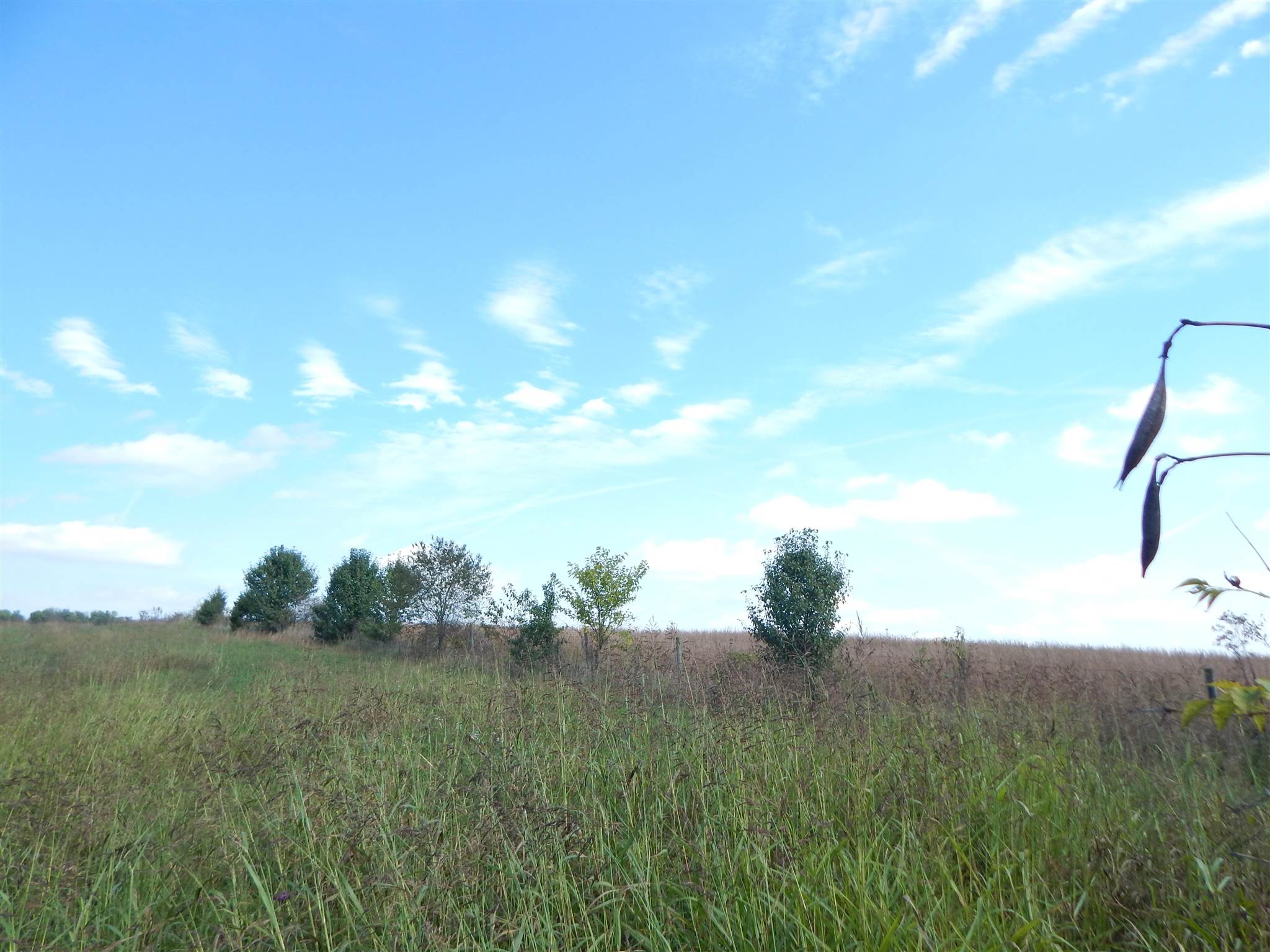 Tbd Younger Road Bedford, IN 47421 - Photo 4 of 5